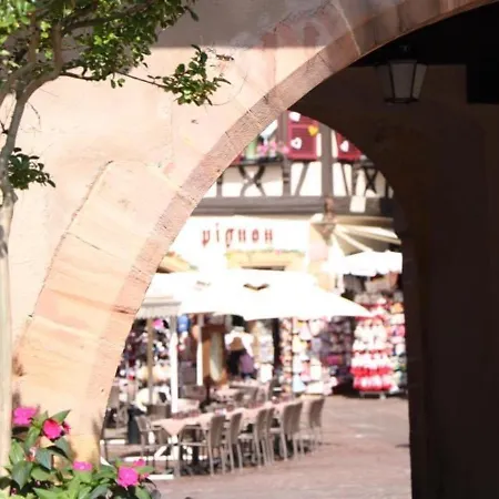 Lumineux A Avec Terrasse, Parking Et Wifi - 5 Min Du Centre - Fr-1-722-1 Apartment Colmar